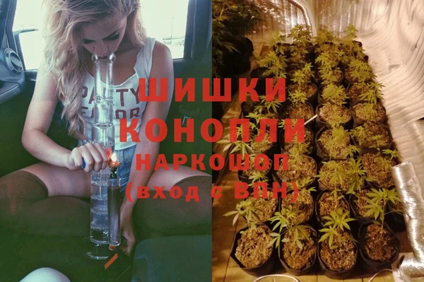 ПСИЛОЦИБИНОВЫЕ ГРИБЫ Волосово